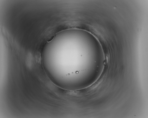 X0000114441251200910231311