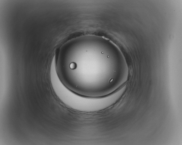 X0000114441252200910231311