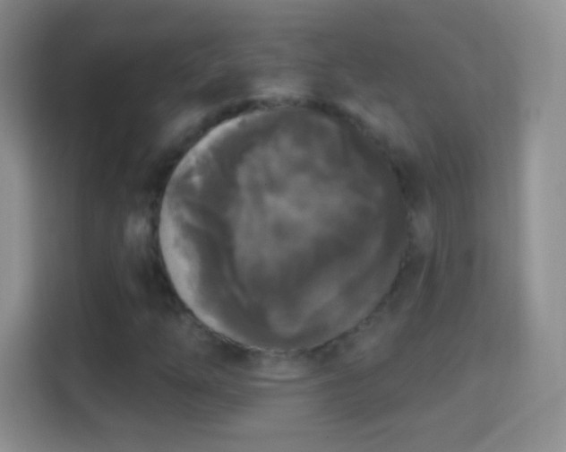 X0000114441254200910231311