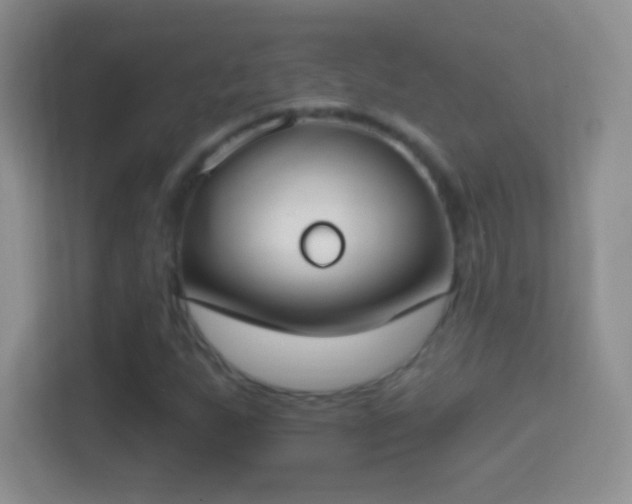 X0000114441255200910231311