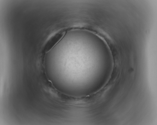 X0000114441256200910231311