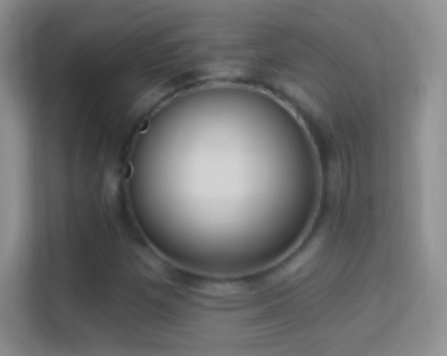 X0000114441257200910231311