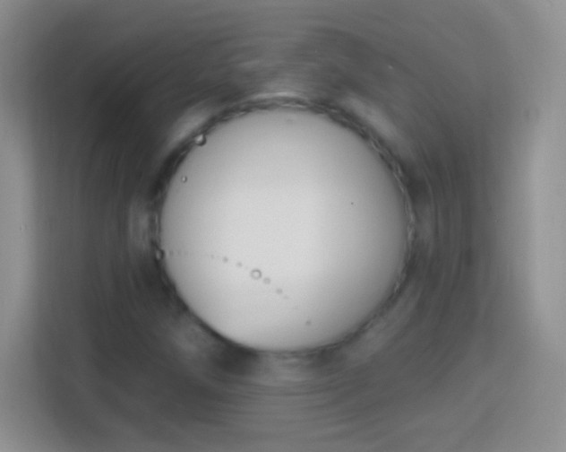 X0000114441258200910231311