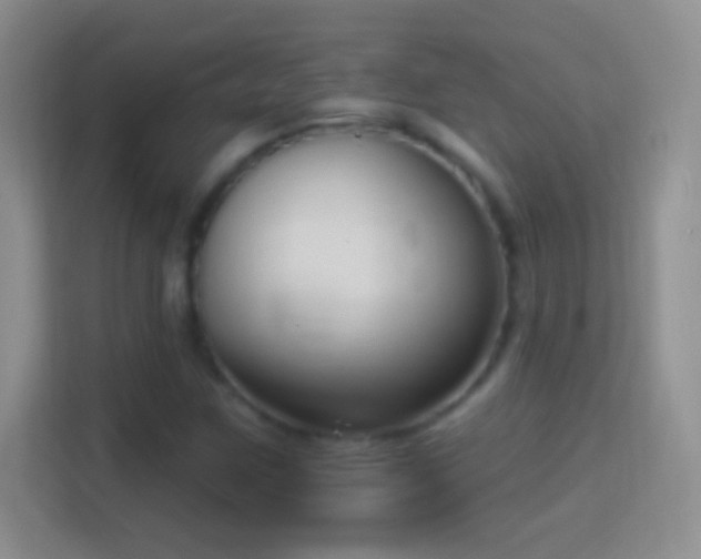 X0000114441259200910231311