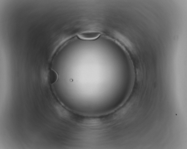 X0000114441260200910231311