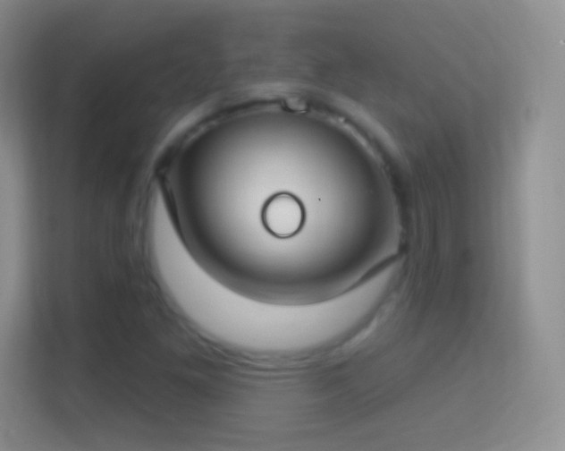 X0000114441261200910231311