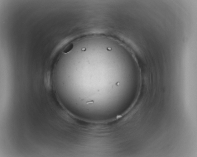 X0000114441262200910231311