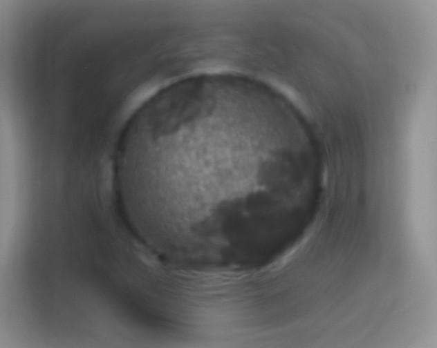 X0000114441263200910231311