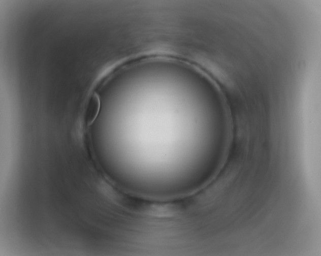 X0000114441264200910231311