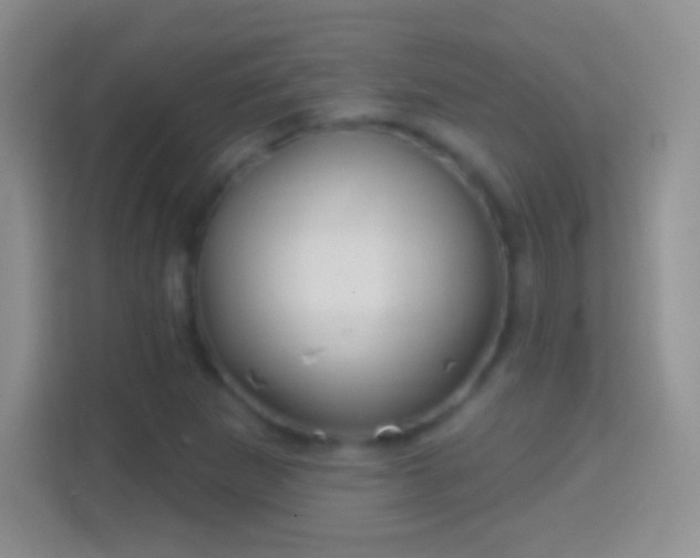 X0000114441265200910231311