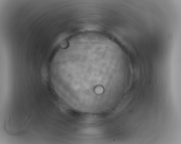 X0000114441266200910231311