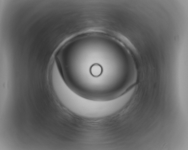 X0000114441268200910231311