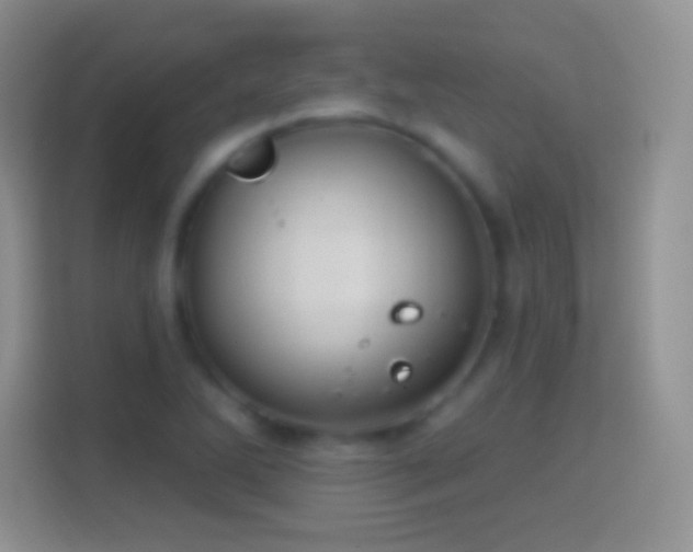 X0000114441270200910231311