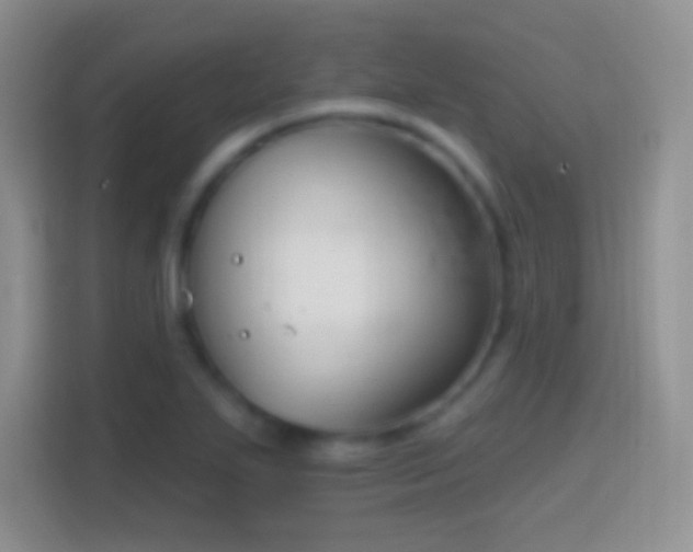 X0000114441271200910231311