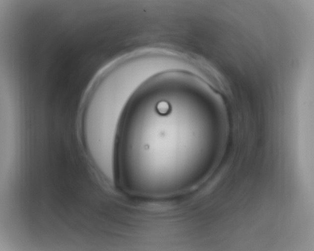 X0000114441272200910231311