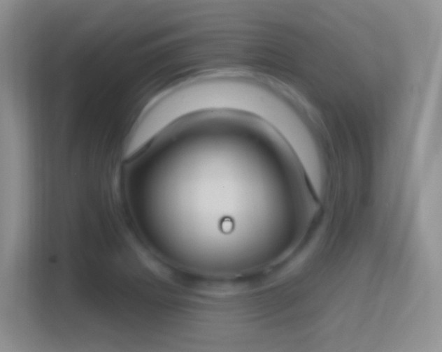 X0000114441273200910231311