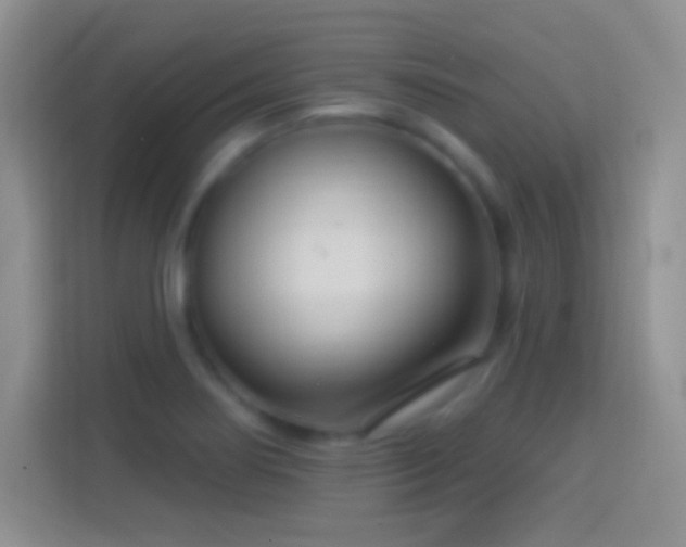 X0000114441274200910231311