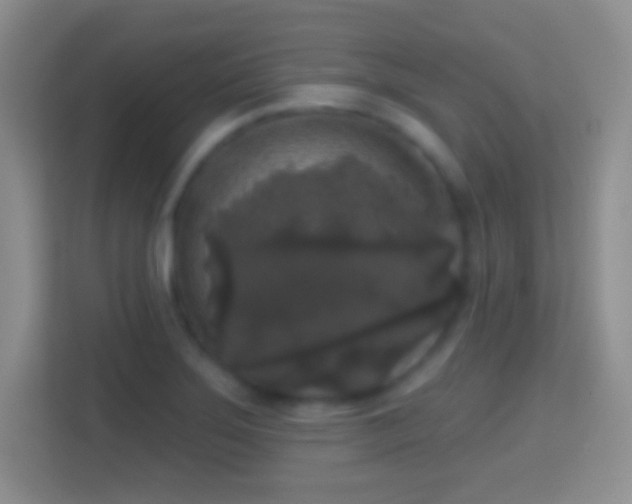 X0000114441275200910231311