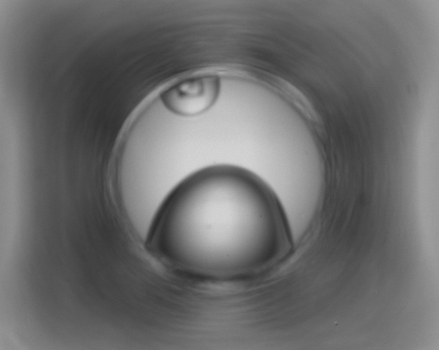 X0000114441276200910231311