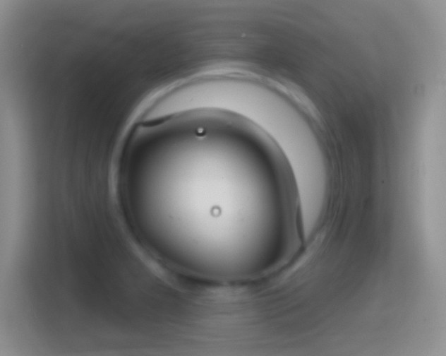 X0000114441277200910231311