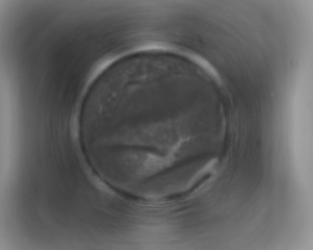 X0000114441279200910231311