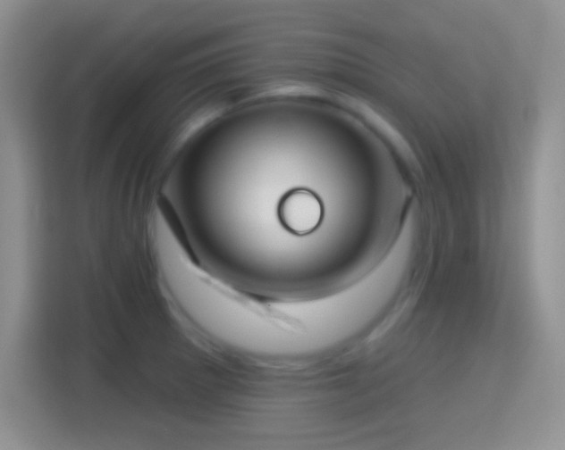 X0000114441281200910231311