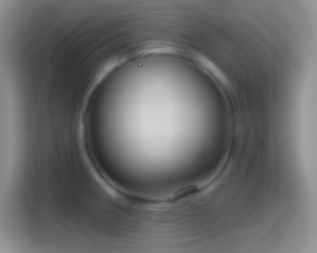 X0000114441282200910231311