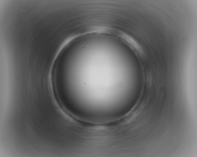 X0000114441283200910231311