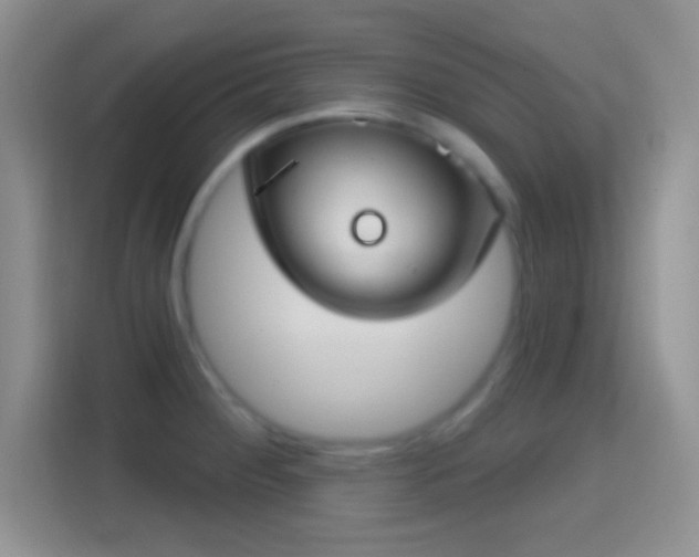 X0000114441284200910231311