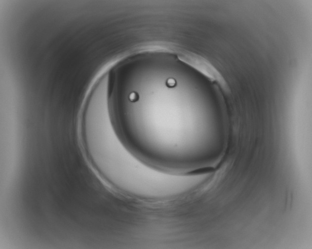 X0000114441285200910231311