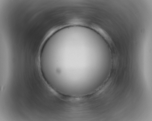 X0000114441286200910231311