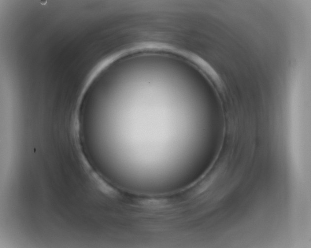 X0000114441287200910231311