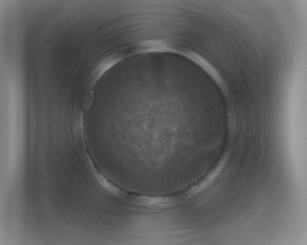 X0000114441289200910231311