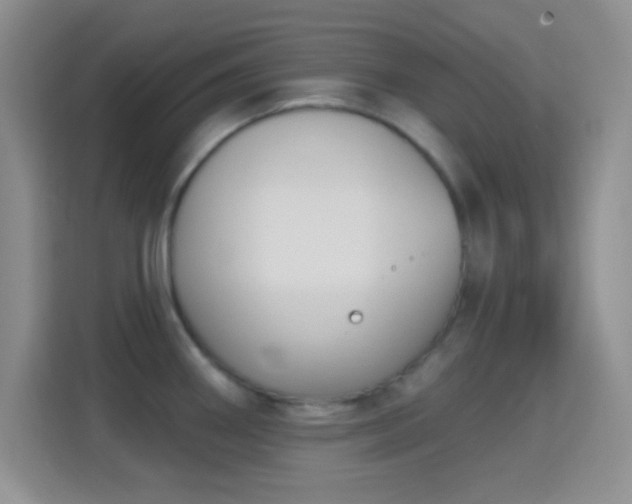 X0000114441290200910231311