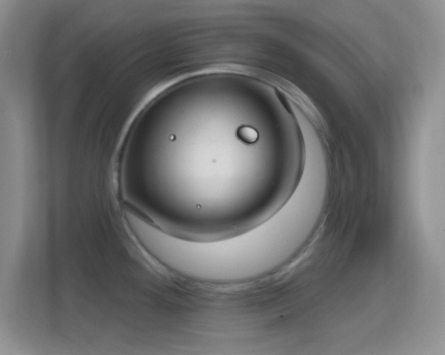 X0000114441292200910231311