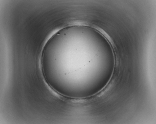 X0000114441293200910231311