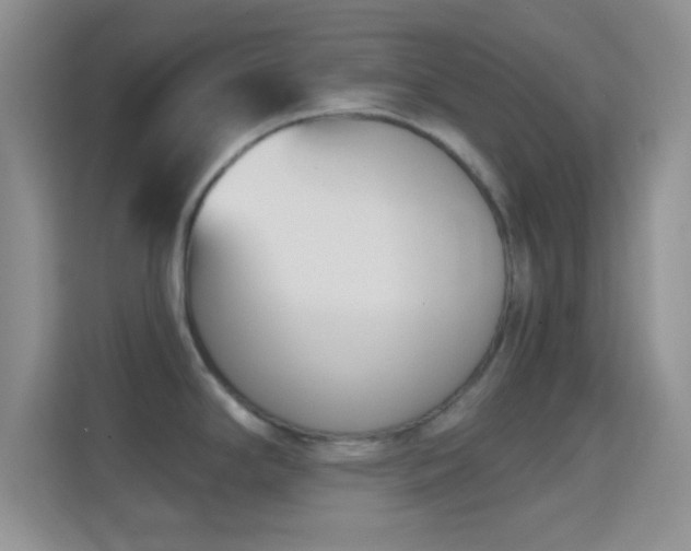 X0000114441294200910231311