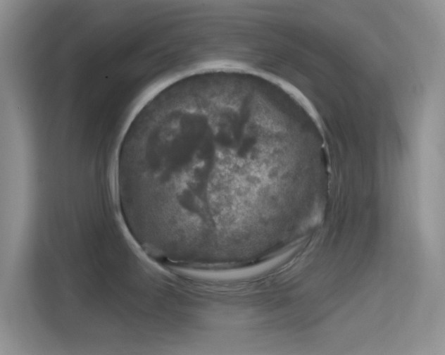 X0000114441295200910231311