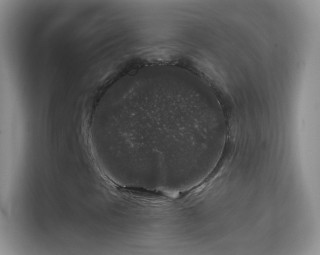 X0000114441297200910231310