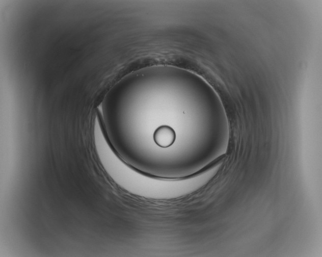 X0000114441298200910231310