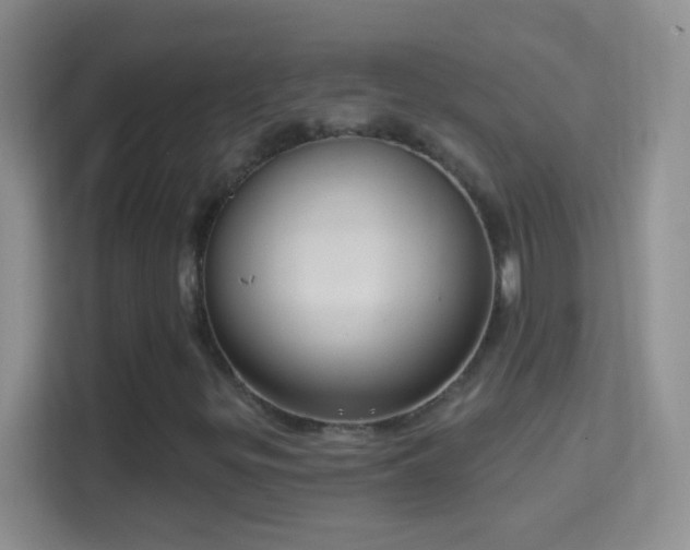 X0000114441299200910231310