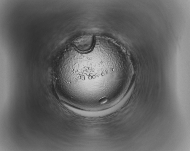 X0000114441301200910231310