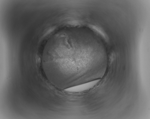 X0000114441302200910231310