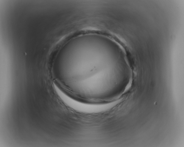 X0000114441303200910231310