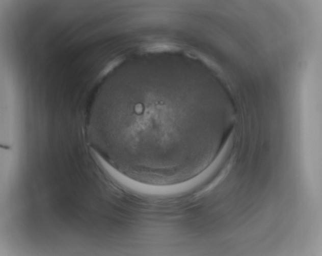 X0000114441305200910231310