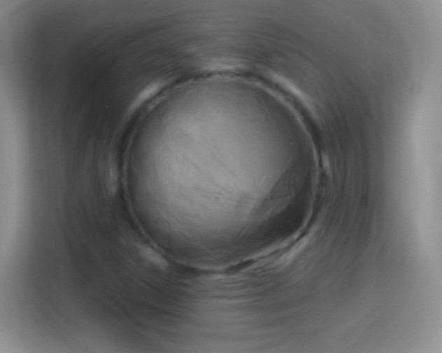 X0000114441306200910231310