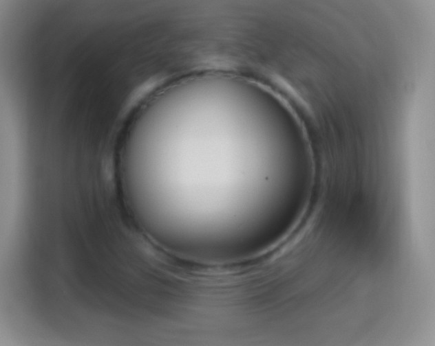 X0000114441307200910231310