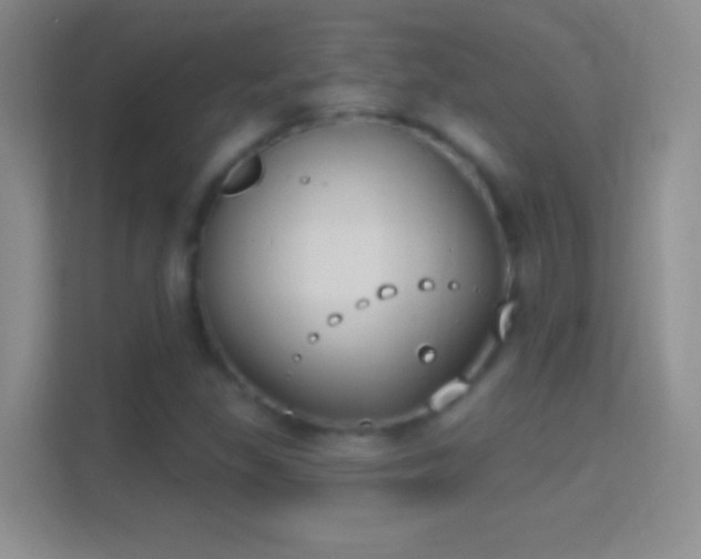 X0000114441309200910231310