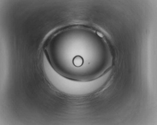 X0000114441310200910231310