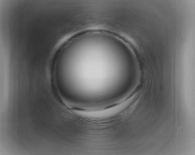 X0000114441311200910231310